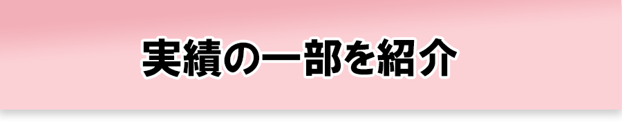 実績の一部を紹介
